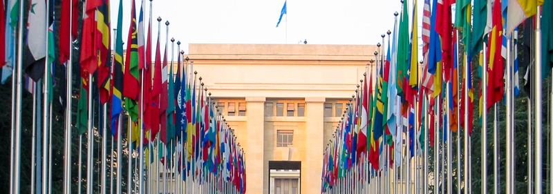 联合国日内瓦办事处所有联合国会员国国旗-图片 © Yann Forget.jpg